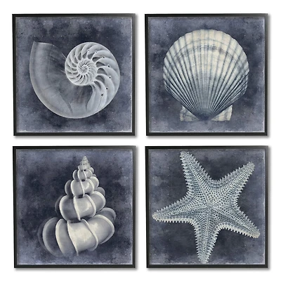 Stupell Industries Nautical Distressed Seashells and Starfish Blue White,12" x 12"