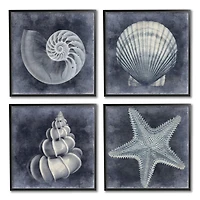 Stupell Industries Nautical Distressed Seashells and Starfish Blue White,12" x 12"