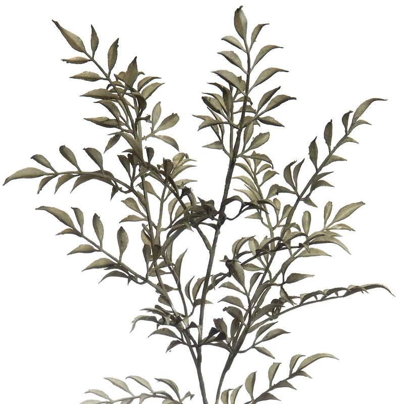 Green Sharp Fern Stem by Ashland®