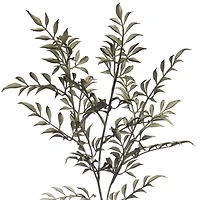 Green Sharp Fern Stem by Ashland®