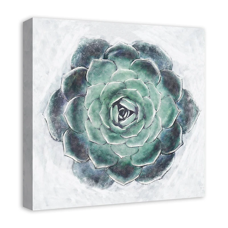 Round Succulent 20" x 20" Canvas Wall Art