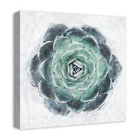 Round Succulent 20" x 20" Canvas Wall Art