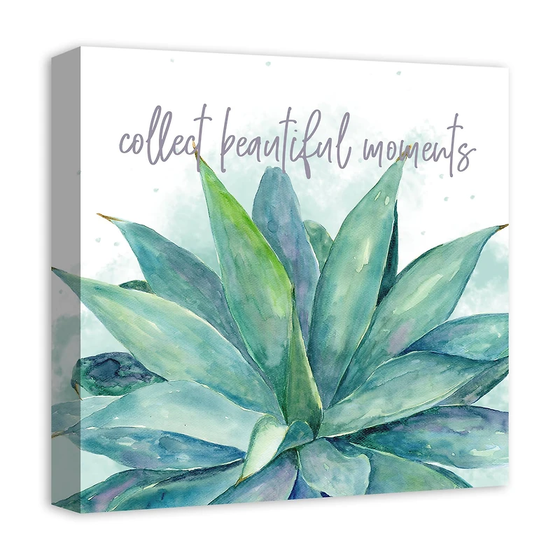 Collect Beautiful Moments 16" x 16" Canvas Wall Art