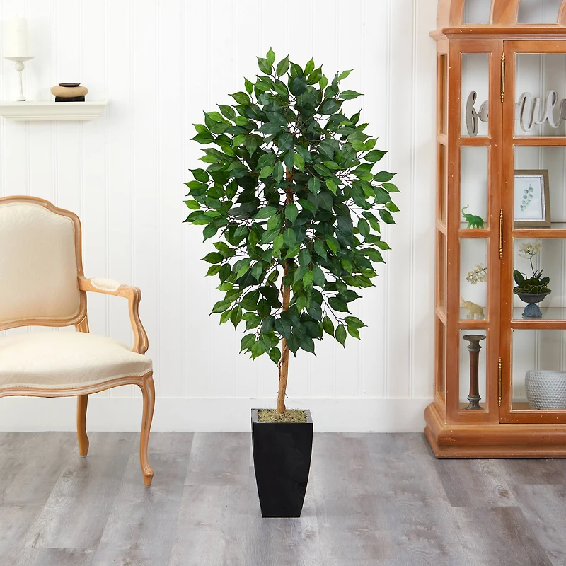 4.5ft. Ficus Tree in Black Metal Planter