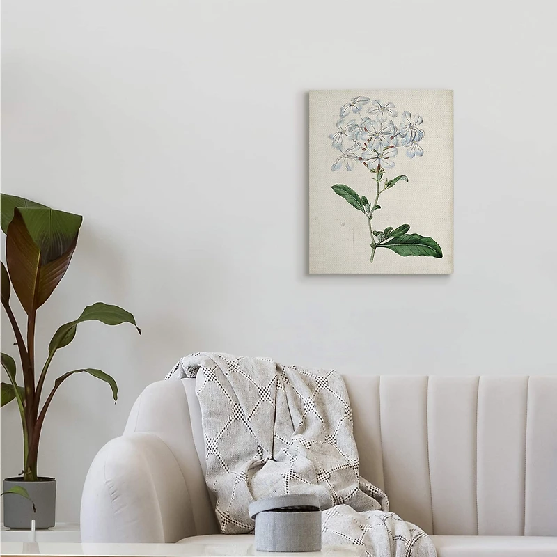 Stupell Industries Rustic Garden Floral Study Charming White Blossoms Canvas Wall Art