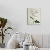 Stupell Industries Rustic Garden Floral Study Charming White Blossoms Canvas Wall Art