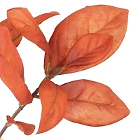37" Orange Magnolia Leaf Stem by Ashland®