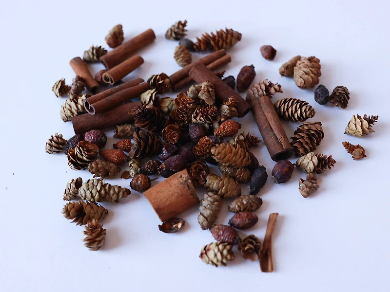 Scented Pine Cone & Cinnamon Mix by Ashland®