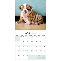 TF Publishing 2024 Puppies Wall Calendar