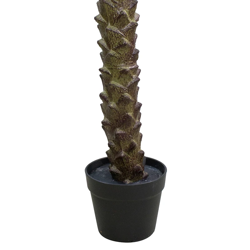 7.25ft. Potted Green & Brown Phoenix Palm Tree
