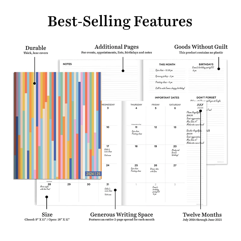 TF Publishing 2024-2025 Large So Many Stripes Monthly Planner