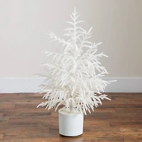 3ft. Artificial Real Touch White Norfolk Island Pine Christmas Tree with Natural Look