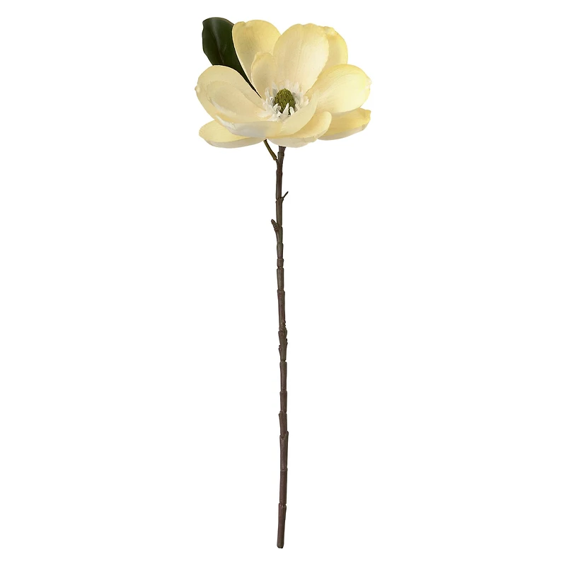 12 Pack: White Magnolia Stem by Ashland®