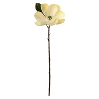 12 Pack: White Magnolia Stem by Ashland®