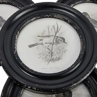 Hello Honey® Round Bird Print Wood Framed Set