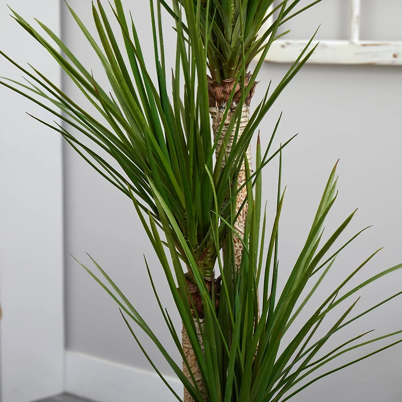 5.5ft. Triple Stalk Yucca Plant in Slate Planter