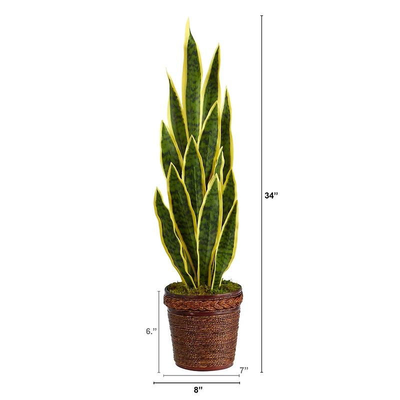 2.5ft. Snake Plant in Decorative Basket Planter
