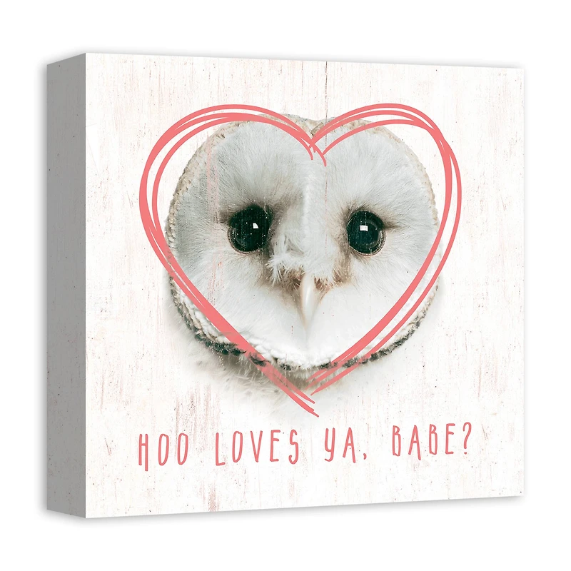 Owl Love Canvas Art