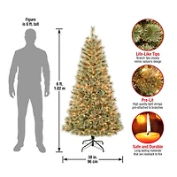 6ft. Pre-Lit Arcadia Cashmere Pine Artificial Christmas Tree, Clear Lights