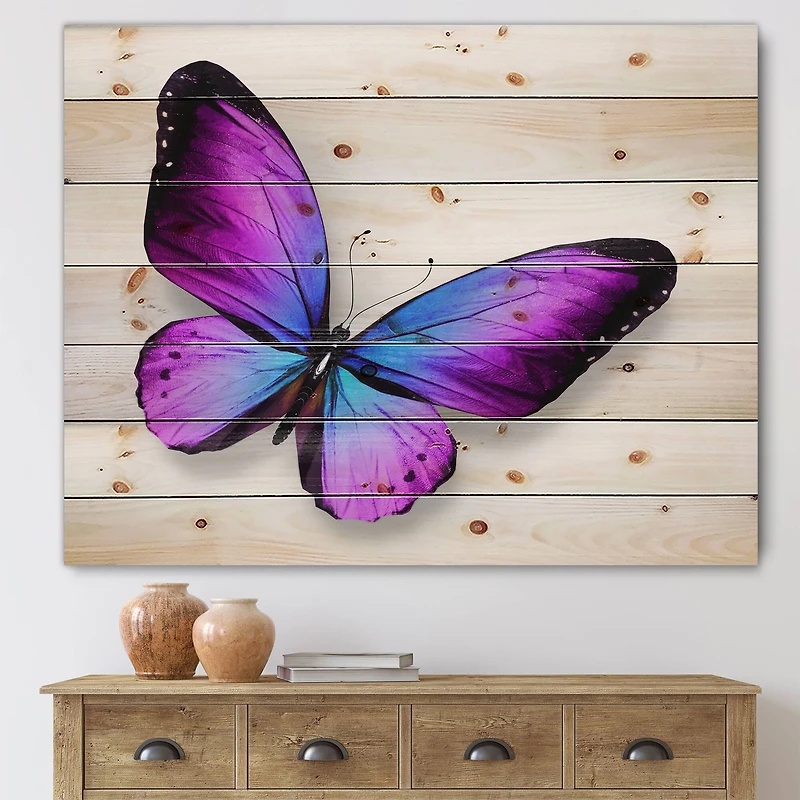 Designart - Violet and Blue Butterfly