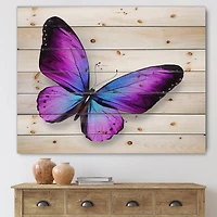 Designart - Violet and Blue Butterfly