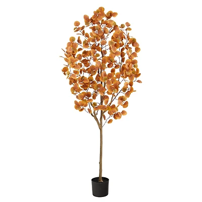 6ft. Potted Autumn Eucalyptus Tree