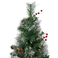 4ft. Pre-Lit Frosted Carolina Berry Spruce Artificial Christmas Tree, Clear Lights