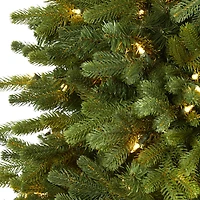 6.5ft. Pre-Lit Washington Fir Artificial Christmas Tree, Clear LED Lights