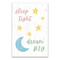 Sleep Tight Dream Big 20" x 30" Canvas Wall Art