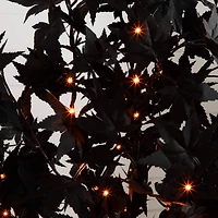 5ft. Pre-Lit Artificial Halloween Black Maple Tree with 240 Orange & Purple LED Lights