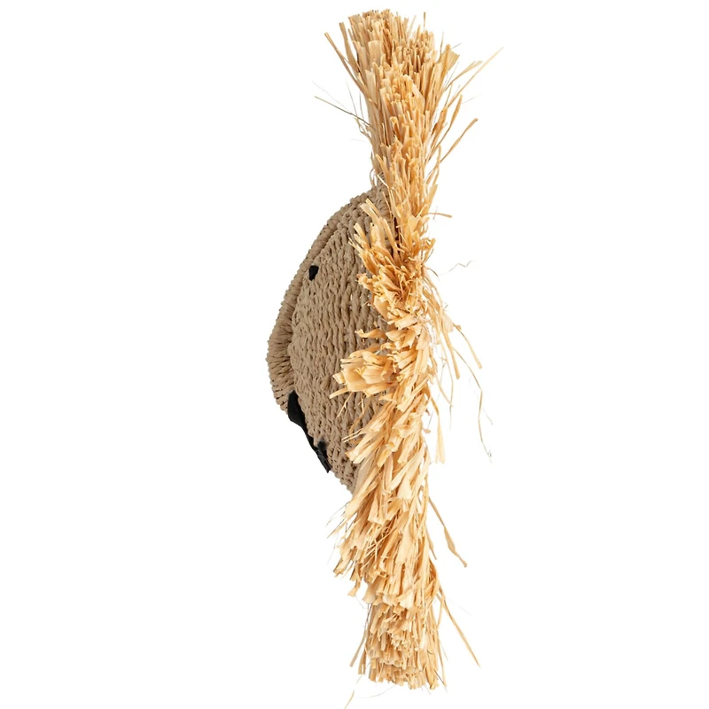 Hello Honey® 16.5" Natural Savannah King Raffia Lion Wall Art