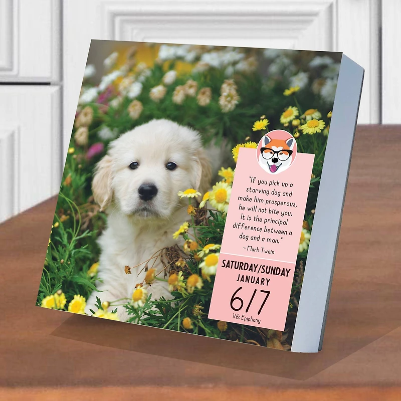 TF Publishing Dog A Day Daily Desktop Calendar