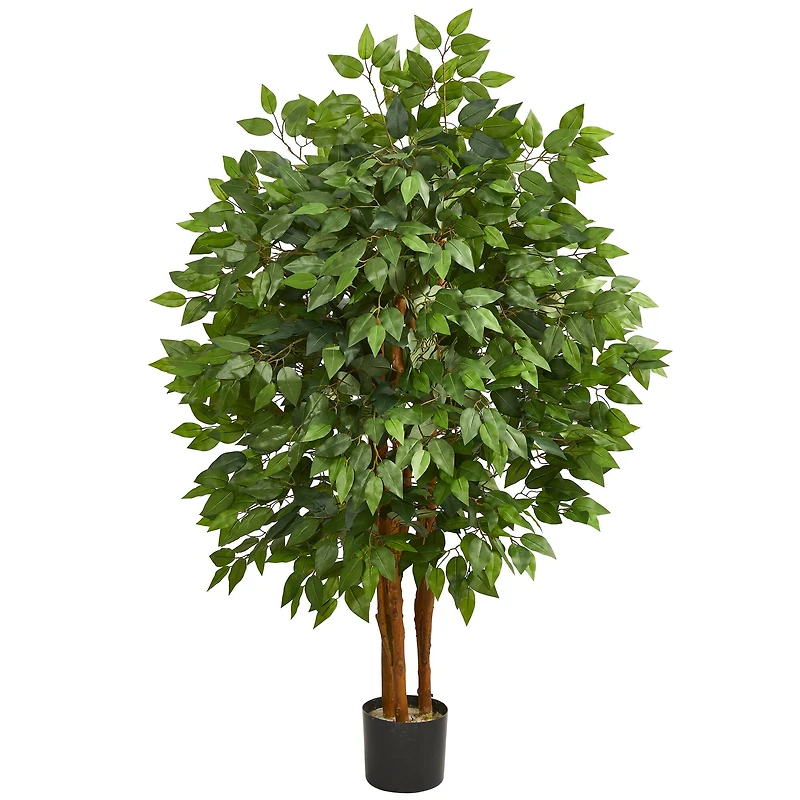 4ft. Potted Super Deluxe Ficus Tree