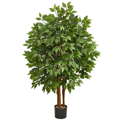 4ft. Potted Super Deluxe Ficus Tree