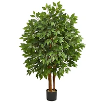 4ft. Potted Super Deluxe Ficus Tree