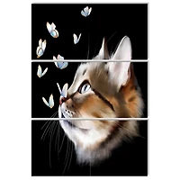 Designart - Cat with Butterflies on Black