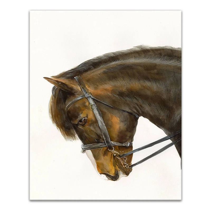 Galloping Horse 16" x 20" Canvas Wall Art