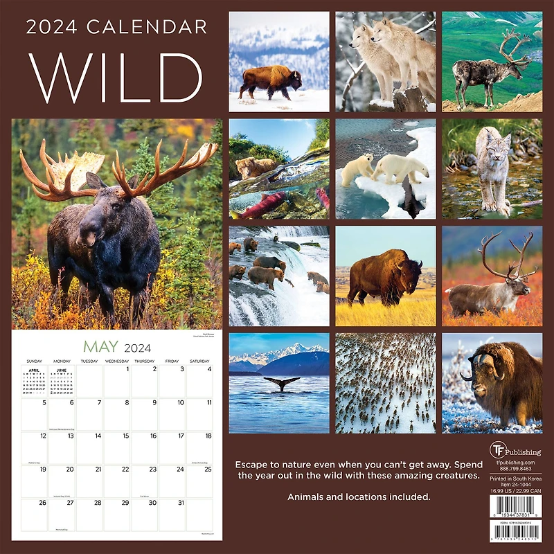 TF Publishing 2024 Wild Wall Calendar