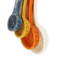 Ceramic Measuring Spoon Set by Ashland®