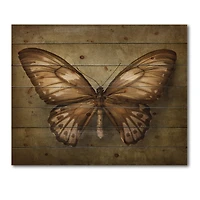 Designart - Vintage Butterfly In Earth Tones