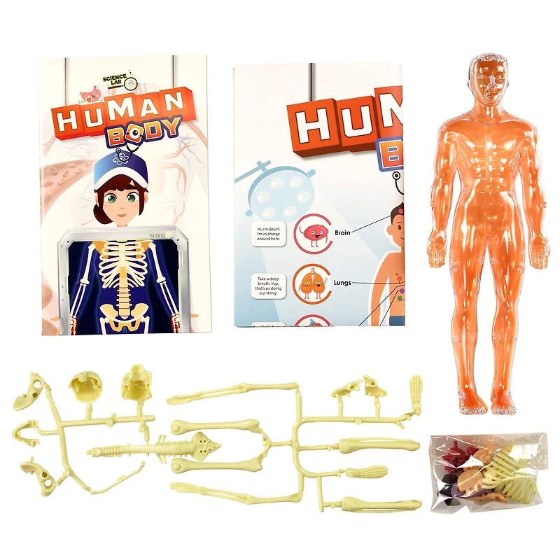 SpiceBox™ Science Lab Human Body Kit