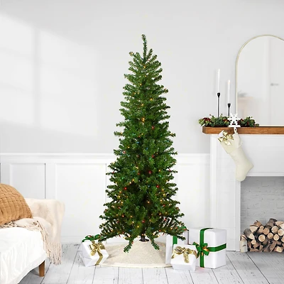 7.5ft. Pre-Lit Canadian Pine Pencil Artificial Christmas Tree, Multicolor Lights