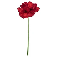 26" Red Jewel Amaryllis Stem by Ashland®
