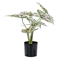 Hello Honey® 15" Green & Red Faux Elephant Ear Plant in Plastic Pot