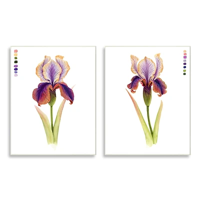 Stupell Industries Orange & Purple Iris Flower with Color Key Wall Plaque Set