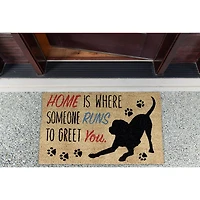 DII® Home Dog Doormat