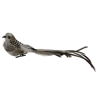 24" Brown & Gray Clip-On Bird Ornament