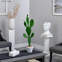 3ft. Cactus Plant in White Planter