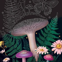 Brea Reese™ 9" x 12" Lunar Spring Scratch Art Paper Pad