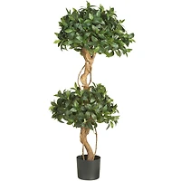 4ft. Potted Sweet Bay Double Ball Topiary Tree